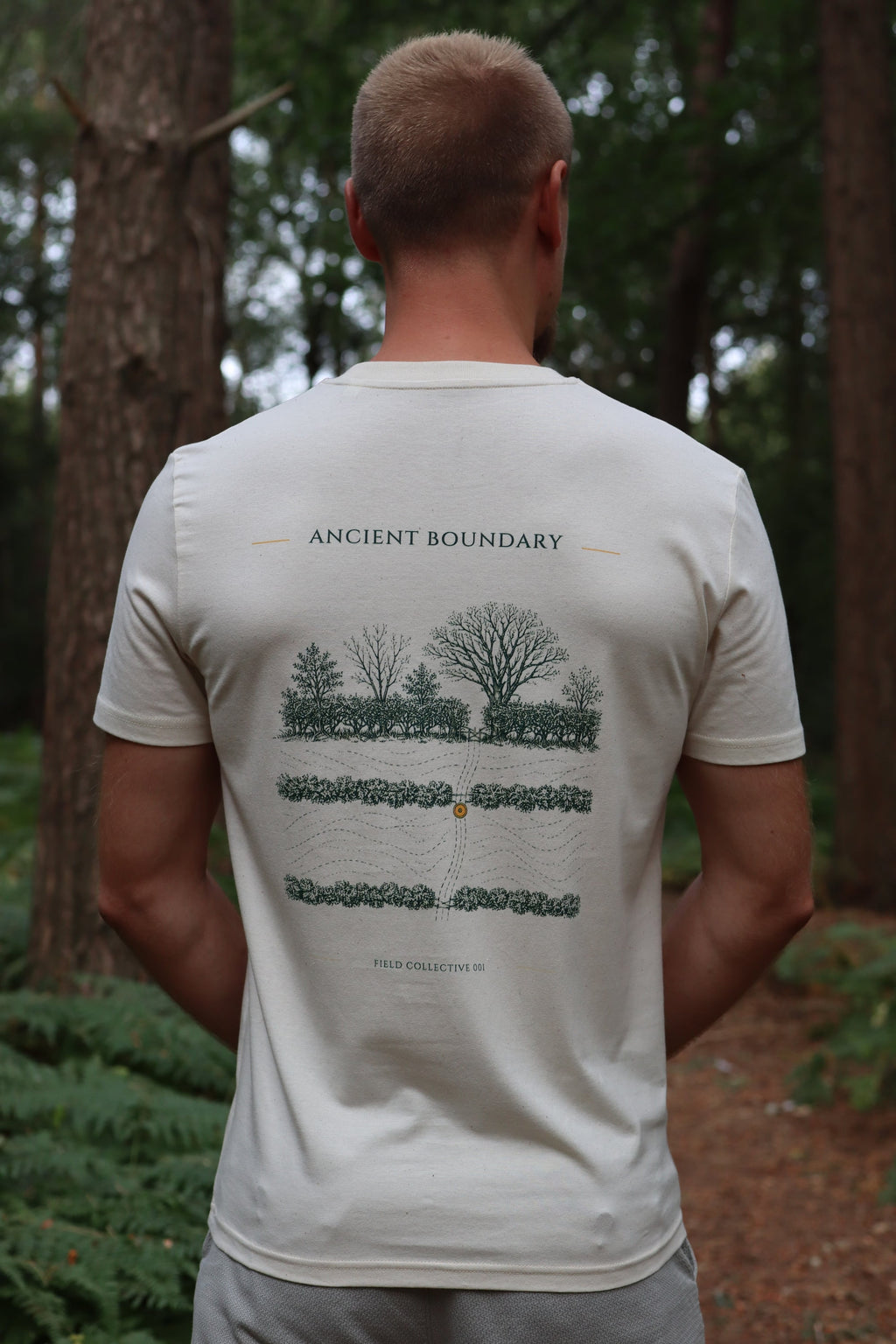 Ancient Boundary