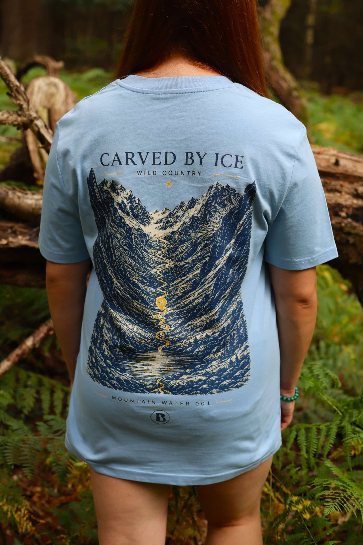 Carved By Ice